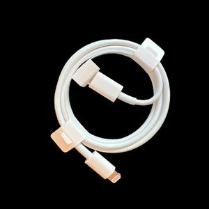 ORIGINAL APPLE CHARGER